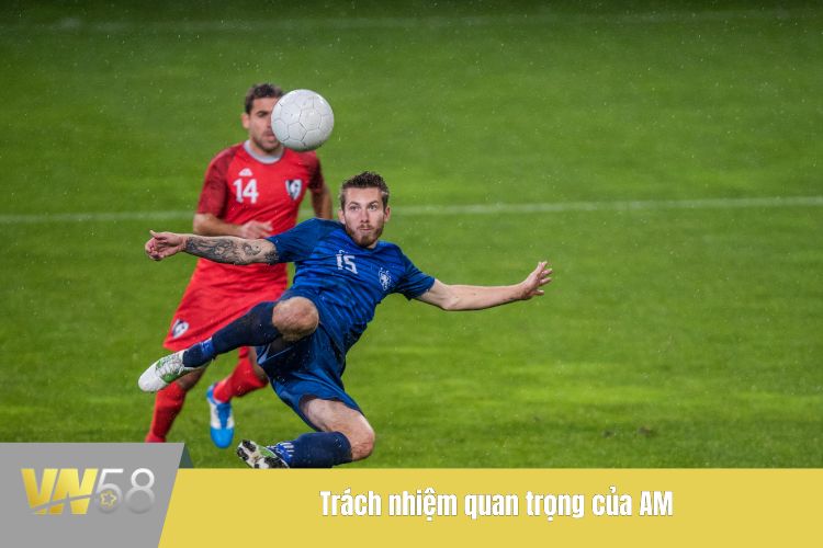 Trách nhiệm quan trọng của AM